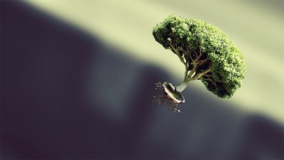 Floating Bonsai Tree Art HD Wallpaper