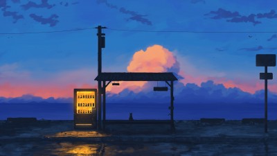 Blue Sky Sunset Black Cat Scenery HD Wallpaper