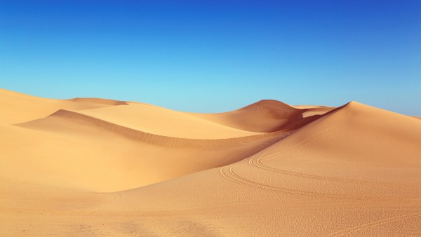 Desert Sand Dunes Traces Wallpaper