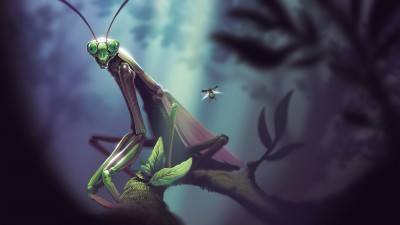 Praying Mantis Macro Illustration