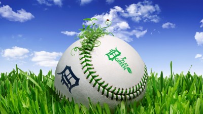 Detroit Tigers Baseball Grass