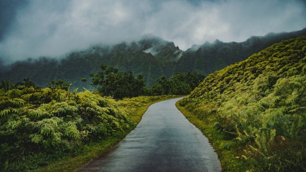 Hawaii Rain Forest Jungle Road Wallpaper