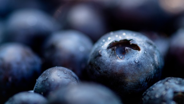 Fruits Organic Blueberries Macro Wallpaper