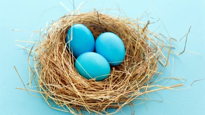 Cyan Blue Eggs