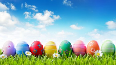 Painted Easter Eggs Flowers Grass HD Wallpaper