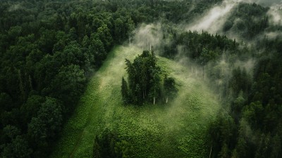 Latvia Daytime Forest Landscape HD Wallpaper