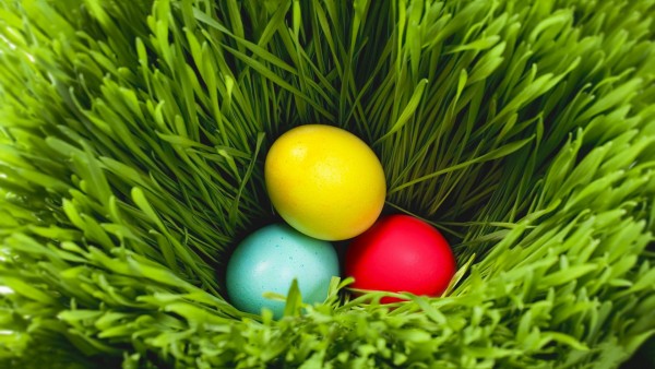 Yellow Blue Red Easter Eggs Wallpaper