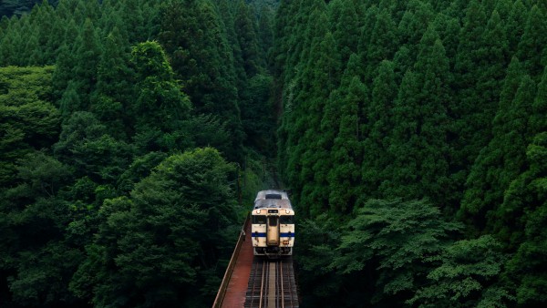 Japan Train Rail Bridge Dense Forest Wallpaper