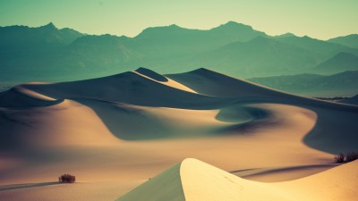 Mojave Desert Landscape