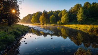 Nature Trees Sun River Scenery HD Wallpaper