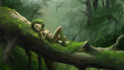 Forest Sleep Green Tree