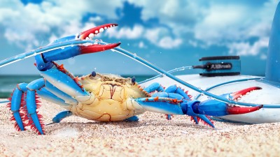 3D Blue Crab