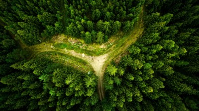 Green Forest Path Aerial View HD Wallpaper