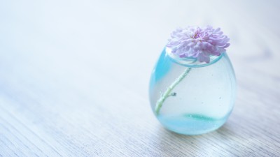 Flower Glass Vase Light Blue HD Wallpaper