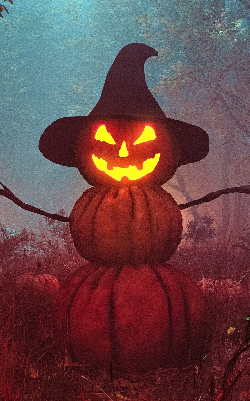 Download Halloween Pumpkin Man Wallpaper in 800x1280 Resolution