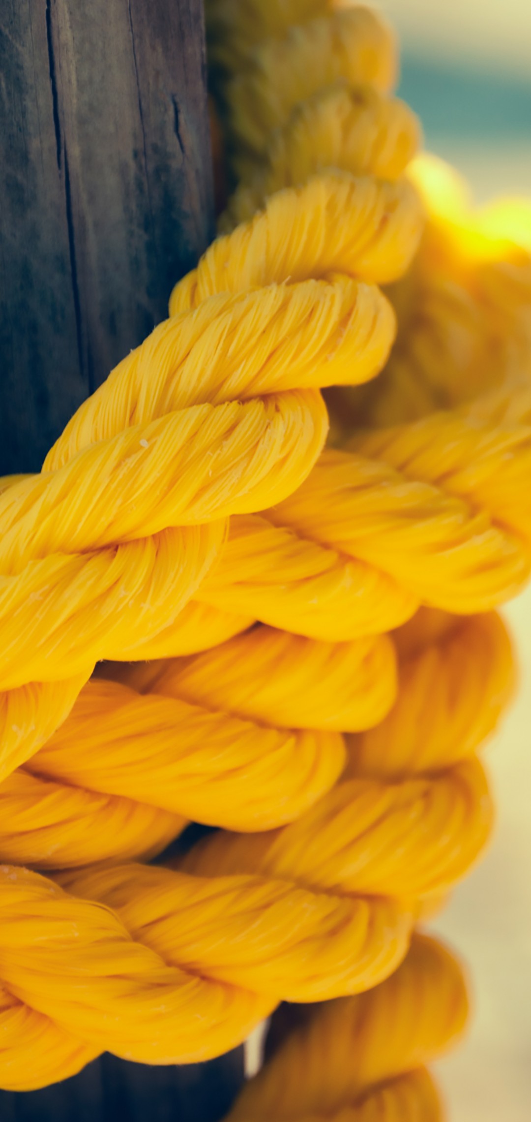 Download Yellow Rope Wallpaper in 1080x2280 Resolution