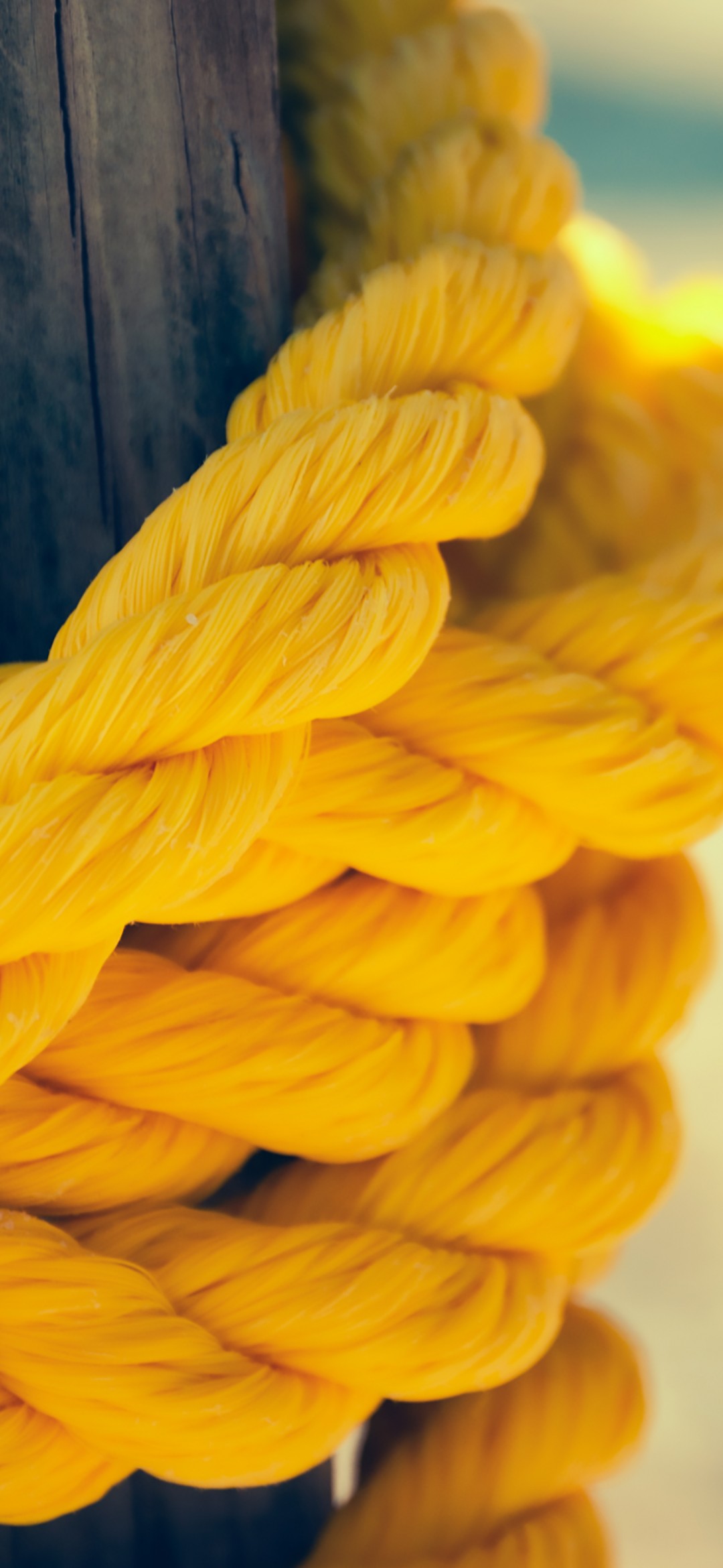 Download Yellow Rope Wallpaper in 1080x2340 Resolution