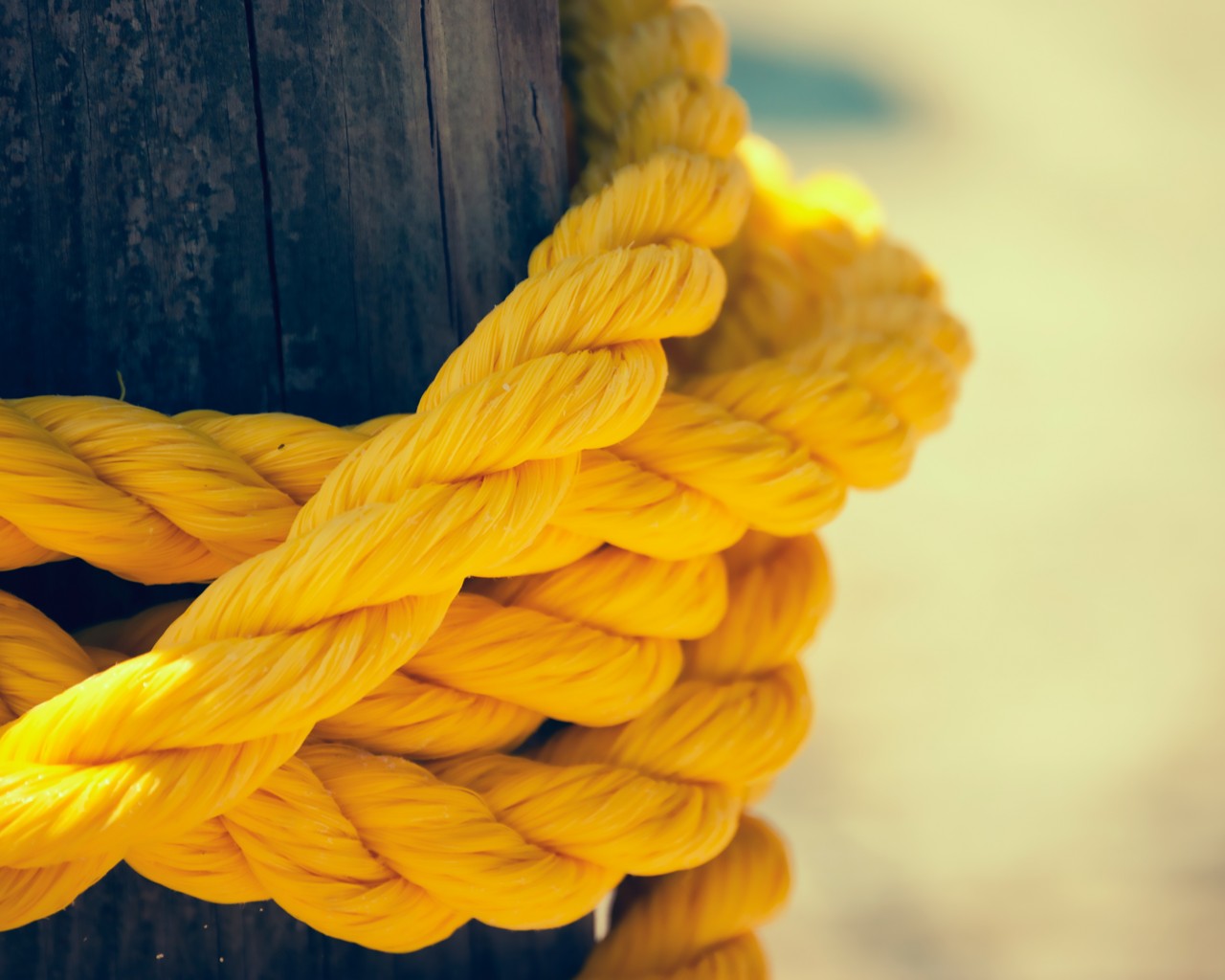 Download Yellow Rope Wallpaper in 1280x1024 Resolution