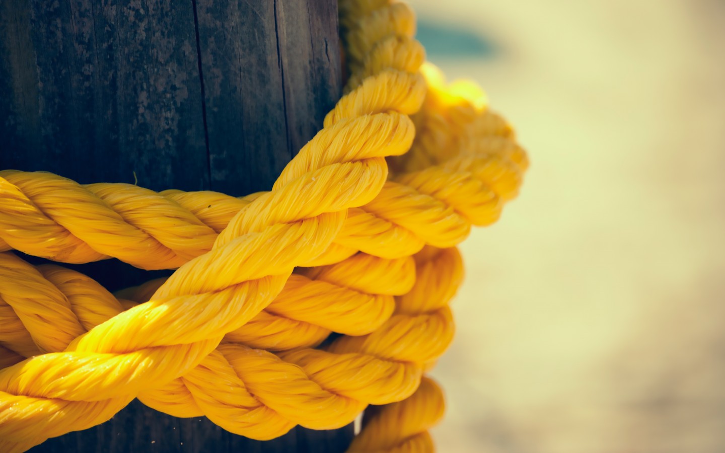 Download Yellow Rope Wallpaper in 1440x900 Resolution