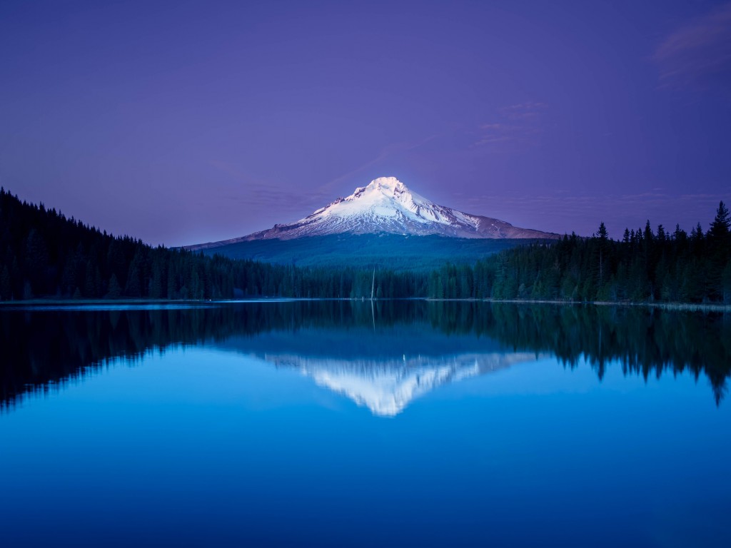 Download Mountain Lake Forest Night Reflection Wallpaper in 1024x768 Resolution