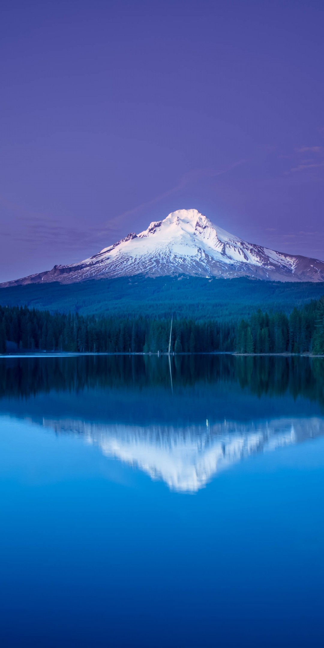 Download Mountain Lake Forest Night Reflection Wallpaper in 1080x2160 Resolution