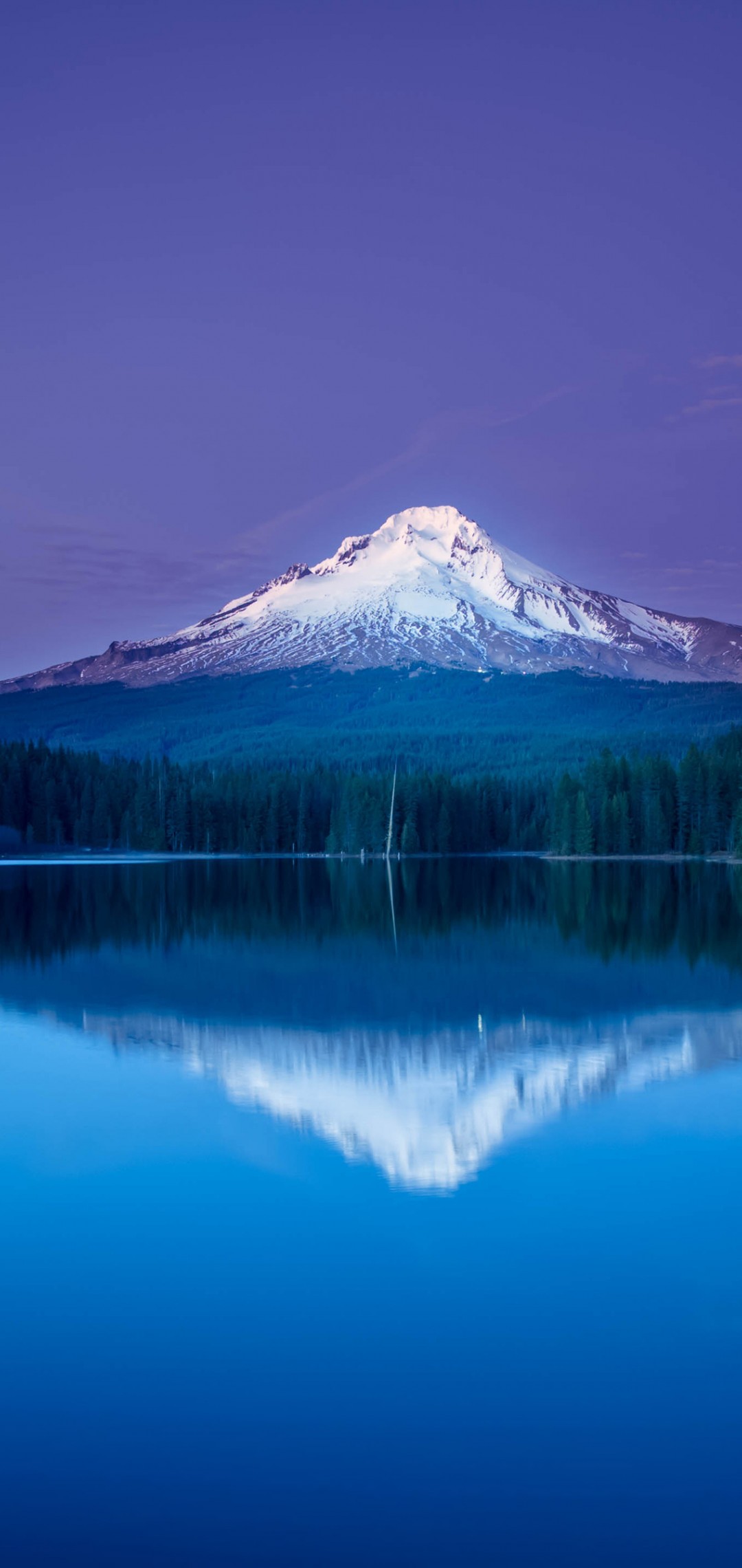 Download Mountain Lake Forest Night Reflection Wallpaper in 1080x2280 Resolution
