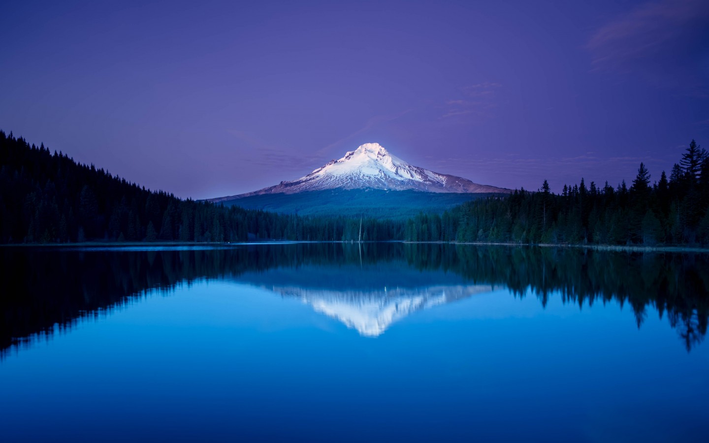 Download Mountain Lake Forest Night Reflection Wallpaper in 1440x900 Resolution