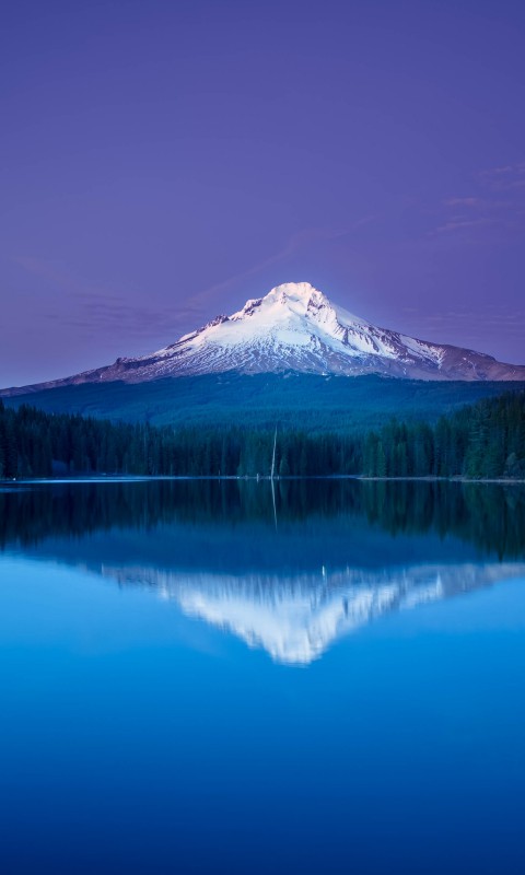 Download Mountain Lake Forest Night Reflection Wallpaper in 480x800 Resolution