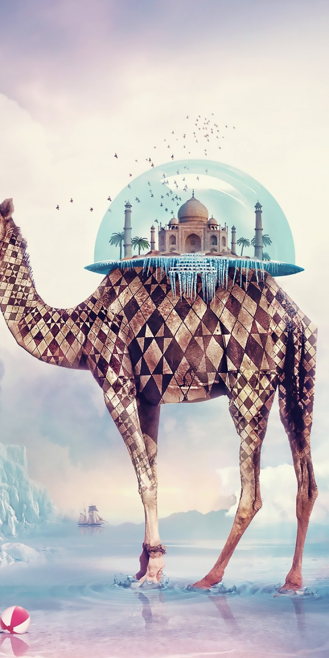 Download Taj Mahal Camel Wallpaper in 1080x2160 Resolution