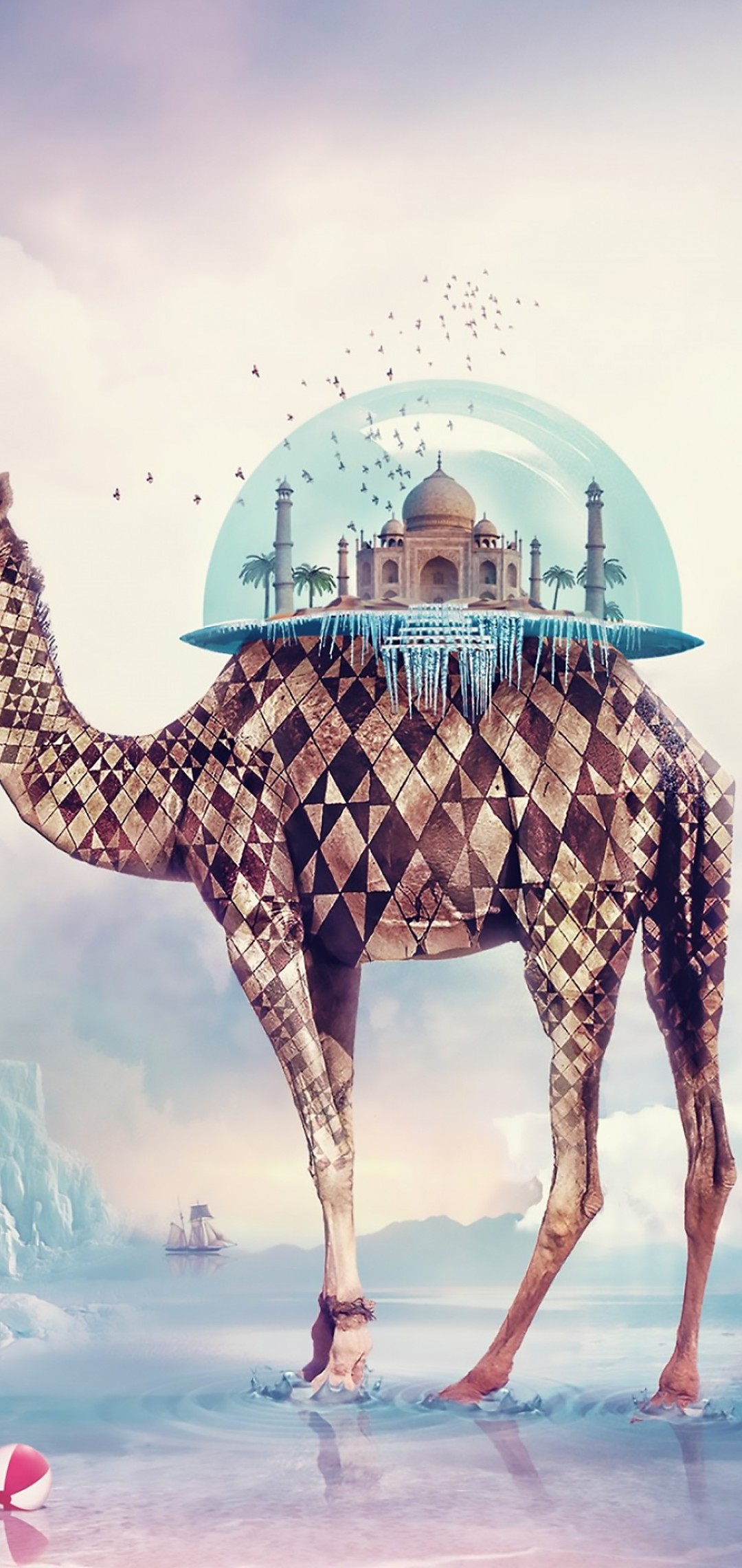 Download Taj Mahal Camel Wallpaper in 1080x2280 Resolution