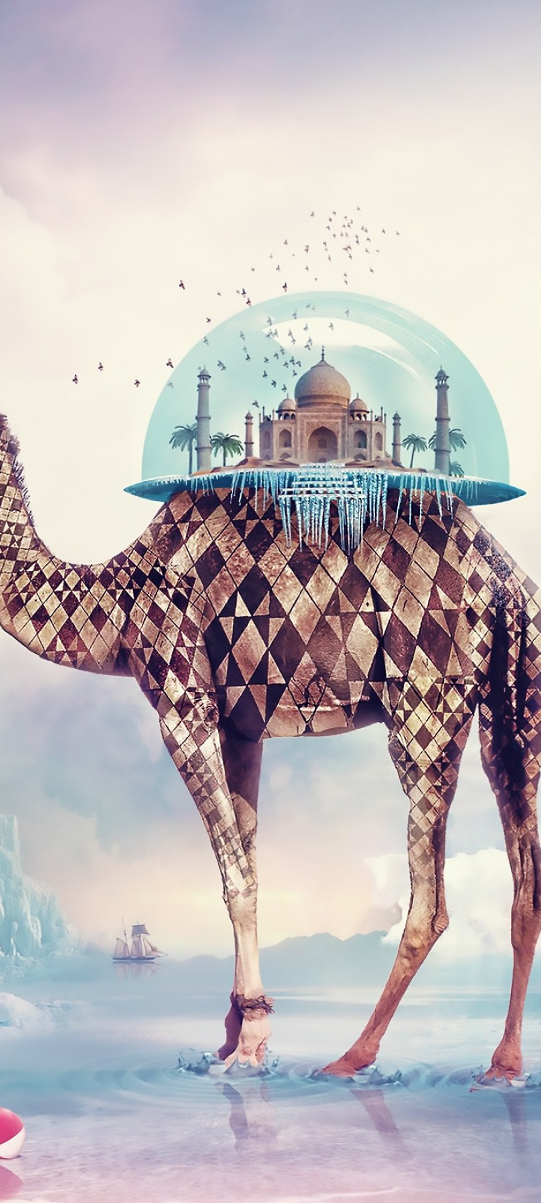 Download Taj Mahal Camel Wallpaper in 1080x2400 Resolution