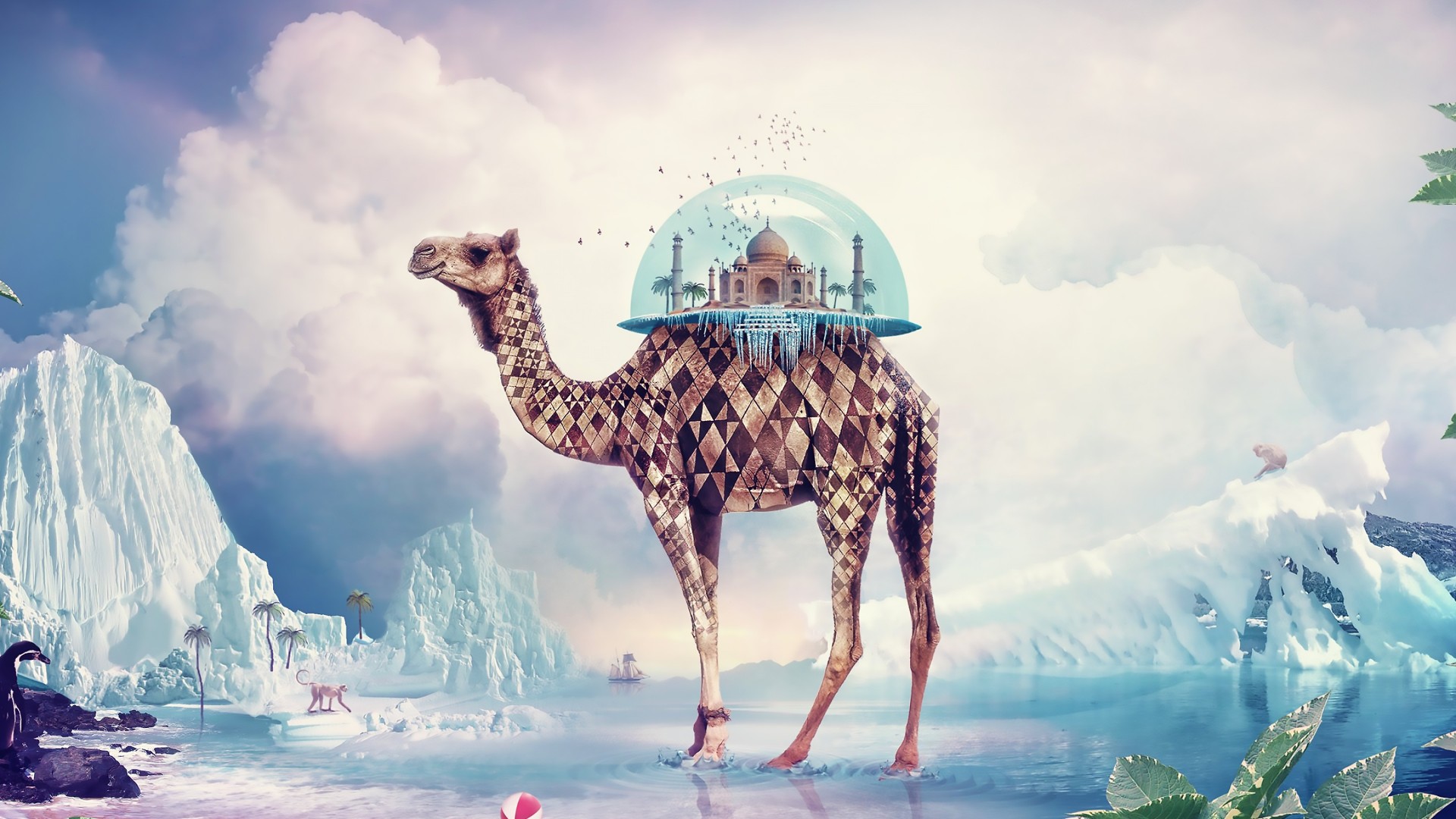 Download Taj Mahal Camel Wallpaper in 1920x1080 Resolution