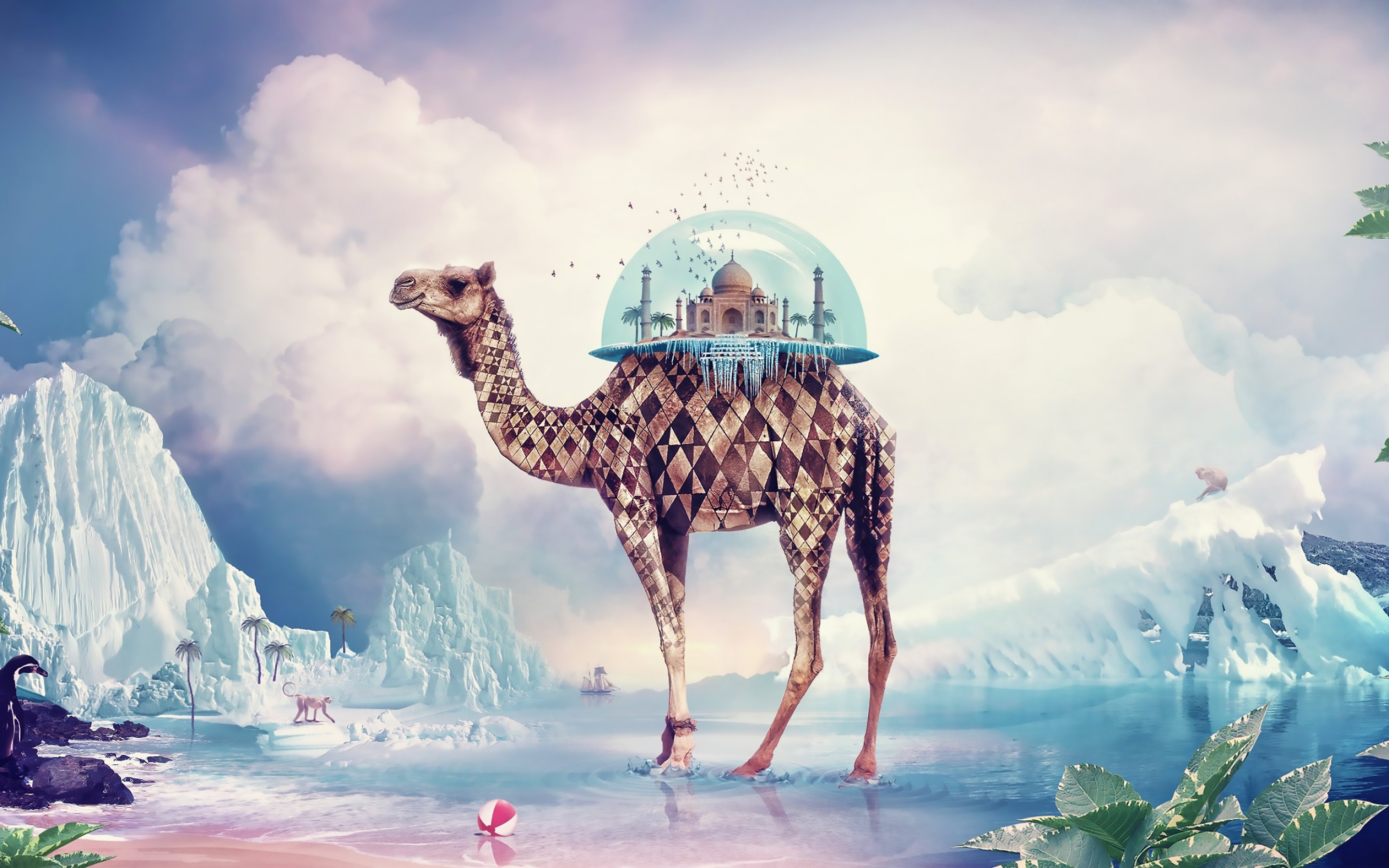 Download Taj Mahal Camel Wallpaper in 2880x1800 Resolution
