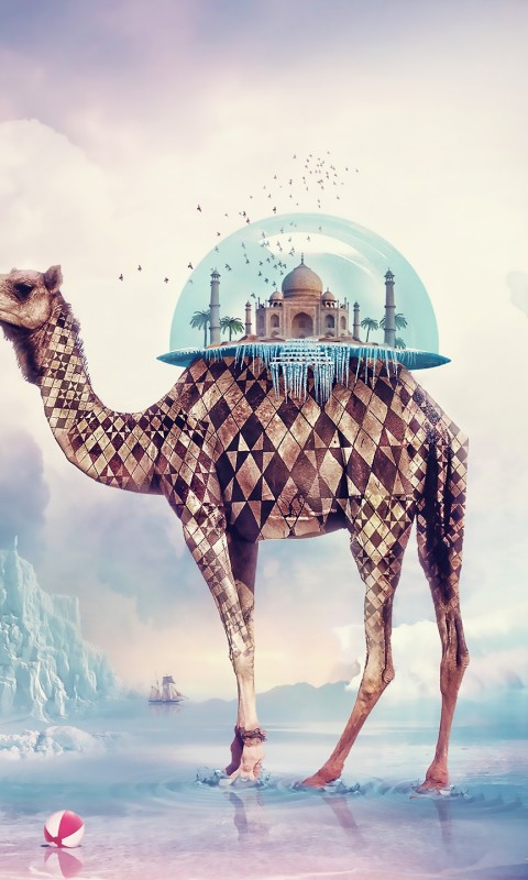 Download Taj Mahal Camel Wallpaper in 480x800 Resolution