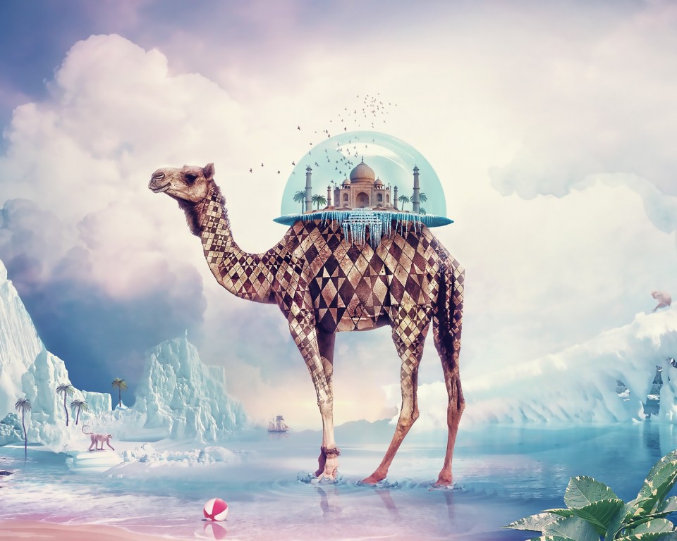 Download Taj Mahal Camel Wallpaper in 960x768 Resolution