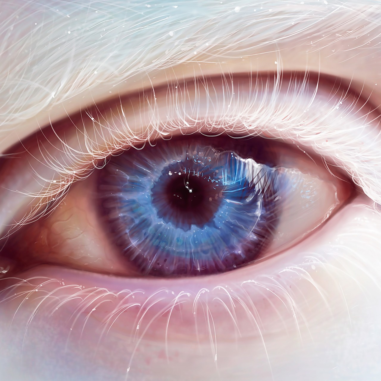 Download Albino Blue Eye Art Wallpaper in 1280x1280 Resolution