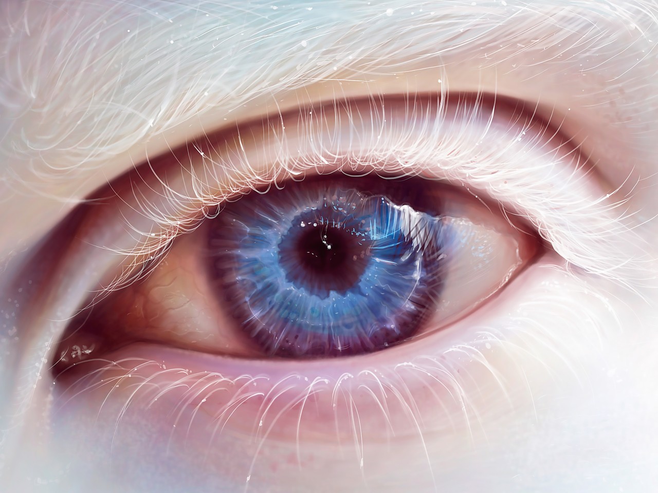 Download Albino Blue Eye Art Wallpaper in 1280x960 Resolution