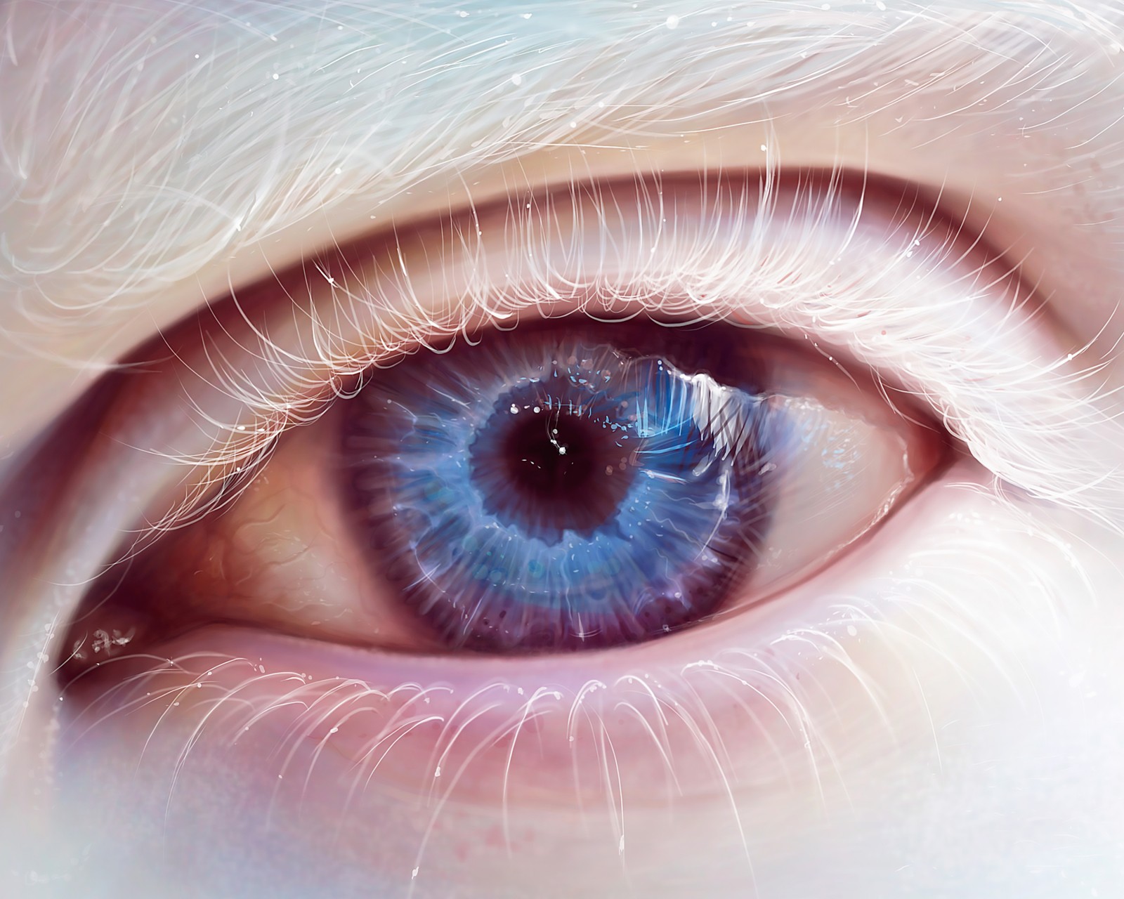 Download Albino Blue Eye Art Wallpaper in 1600x1280 Resolution