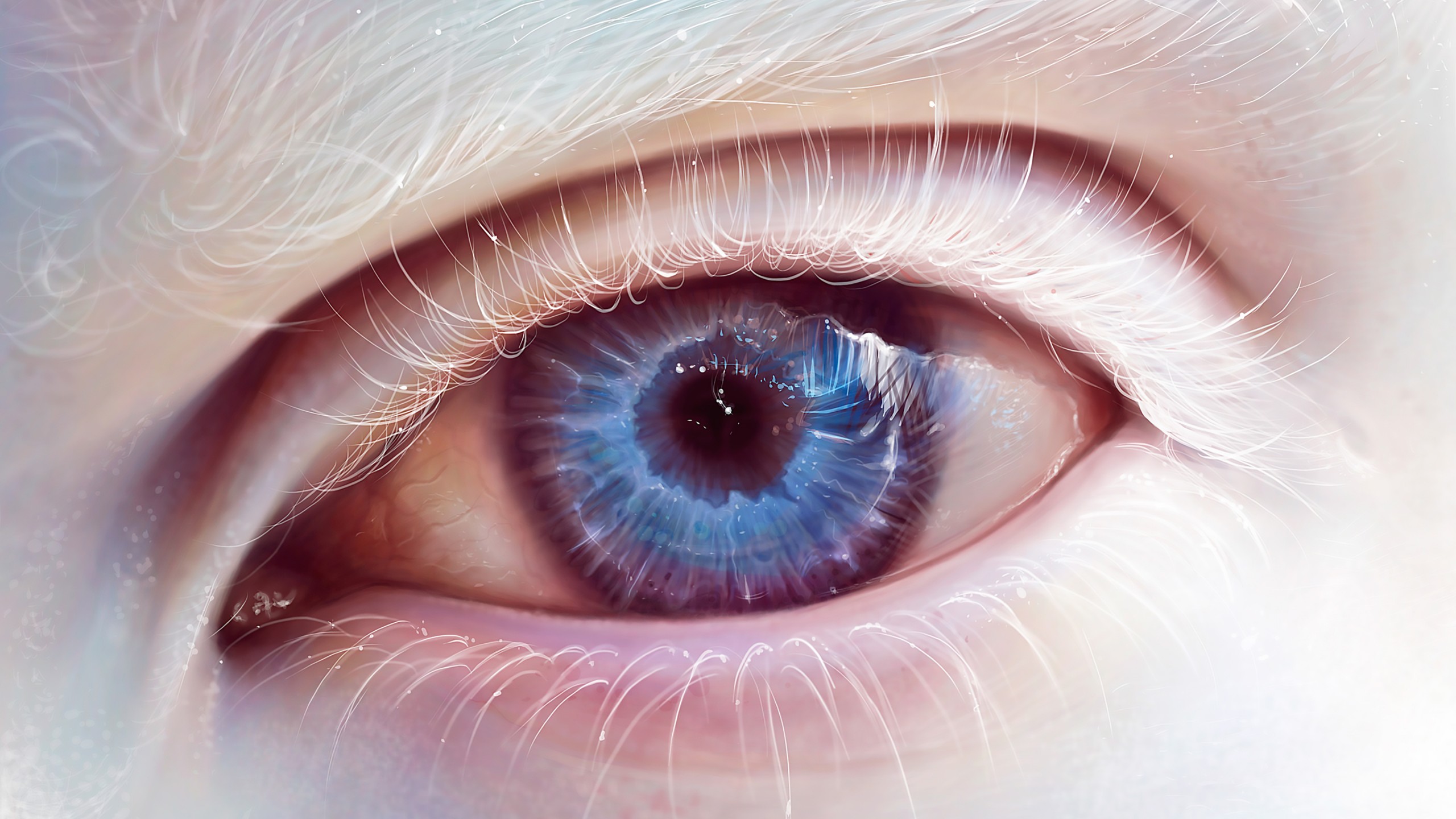 Download Albino Blue Eye Art Wallpaper in 2560x1440 Resolution