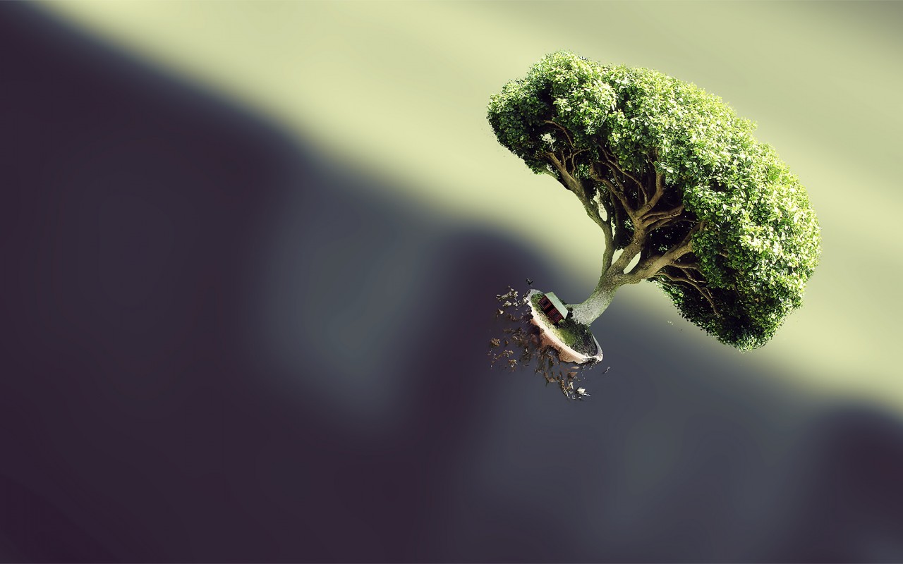 Download Floating Bonsai Tree Art Wallpaper in 1280x800 Resolution