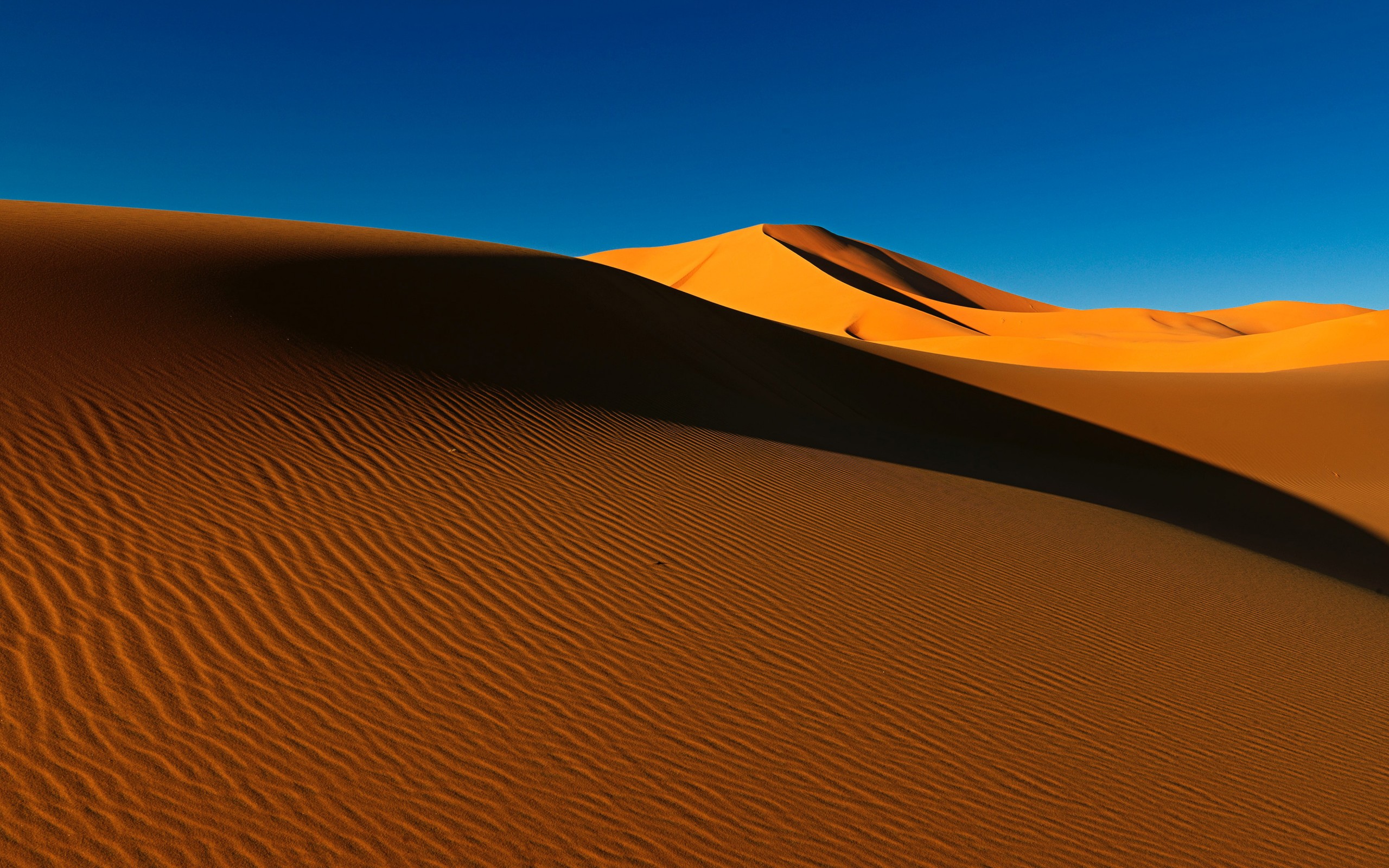 Download Sahara Desert Sand Dunes Algeria Wallpaper In 2560x1600 Resolution