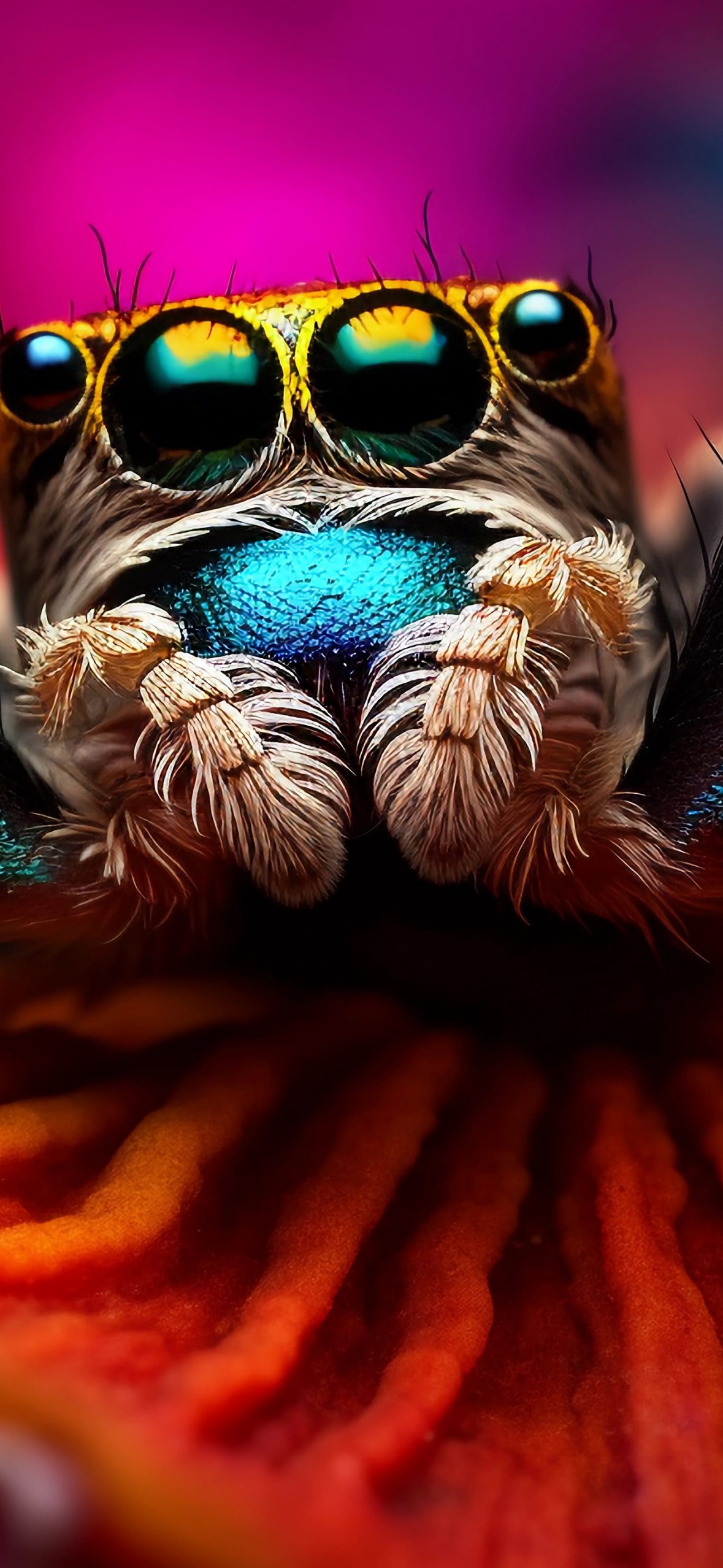 Download Ai Made Colorful Spider Macro Wallpaper in 1179x2556 Resolution