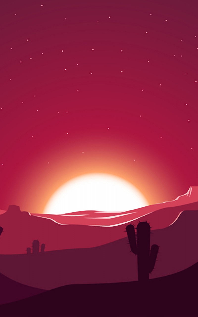 Download Landscape Desert Cactus Vector Art Wallpaper in 800x1280 Resolution