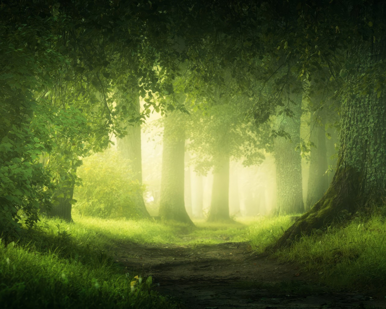 Download Nature Green Landscape Forest Path Wallpaper in 1280x1024 Resolution