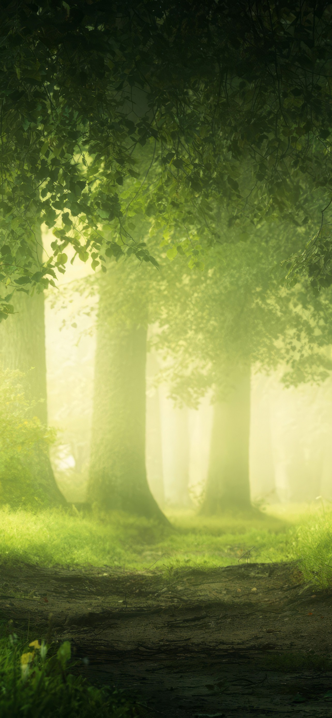 Download Nature Green Landscape Forest Path Wallpaper in 1284x2778 Resolution