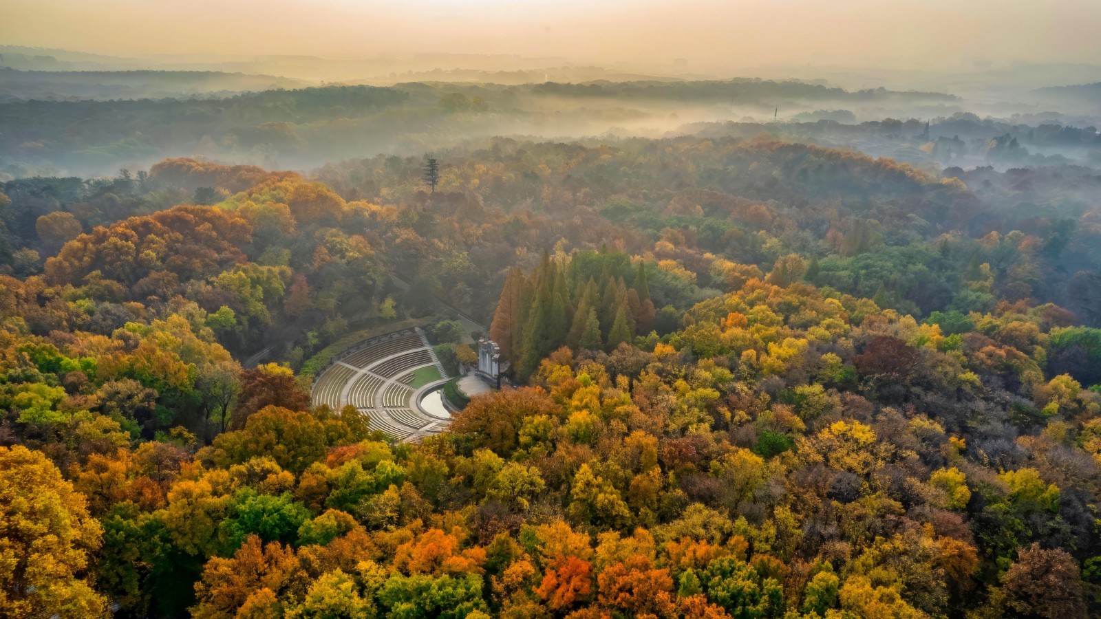 Download China Nanjing Forest Landscape Wallpaper In 1600x900 Resolution