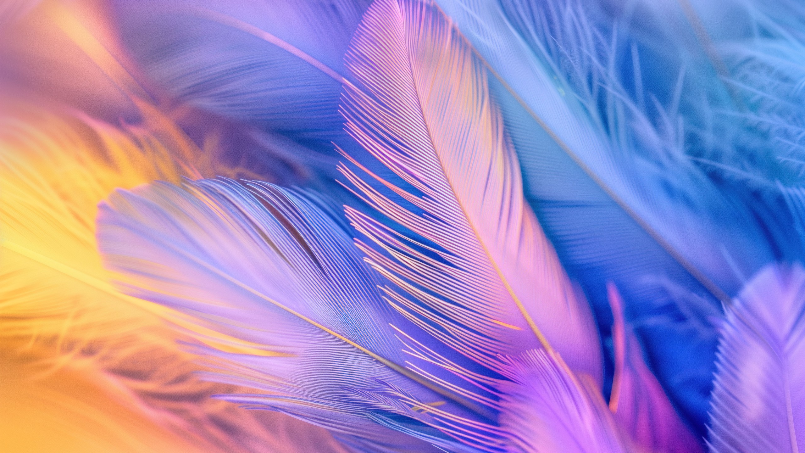 Download Colorful Aesthetic Feathers Ai Art Wallpaper in 2560x1440 Resolution